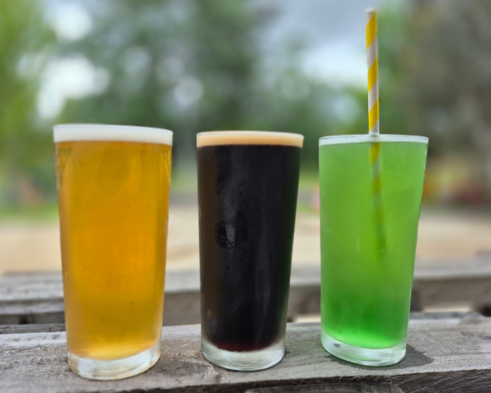 3 schooners sitting on a fence - south pacific ale, English oatmeal stout and a green hard seltzer.